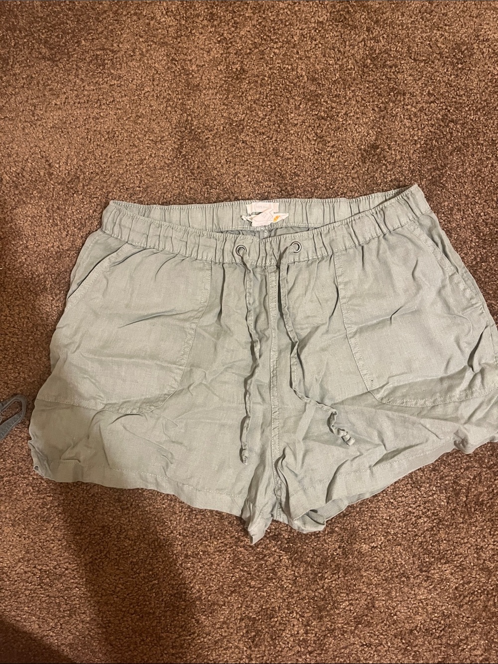 C&C California Light Sage Green Drawstring Linen Shorts